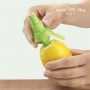 always-fresh-citrus-04