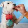 bolsitas-higienicas-perro-03