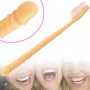 cepillo-dientes-pene-01