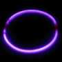 collar_luminoso