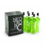 neotropic-box-kiwi