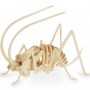 puzzle-de-madera-esqueleto-animales-00_1
