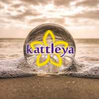 KATTLEYA TEAM