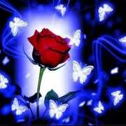 maria de los angeles  urbano ramos