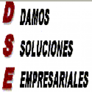 Damos Soluciones Empresariales SL