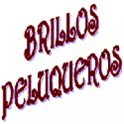 Brillos Peluqueros y Estetica SL