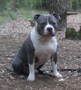 juan alvaro jensen rodriguez