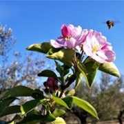 Antonio Luis  Lopez Quesada