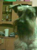 maria cristina benedetti