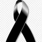 Lily Ana  Bondia Armijo