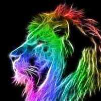 Juan Francisco Velasquez Morales