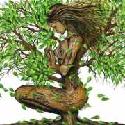 SB  Medicina Natural