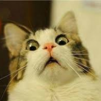 Endry Vazquez Briceño