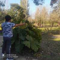 Reinaldo Castillo Rodriguez