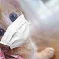 Dailis Maletá Cardoza