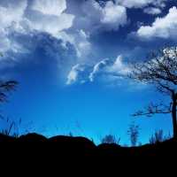 Salvador Castillo Iglesias